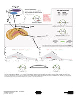 Precision Analytical Dutch Complete Hormone Test - Saliva