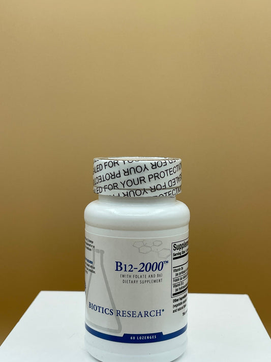 BT B12-2000 60L