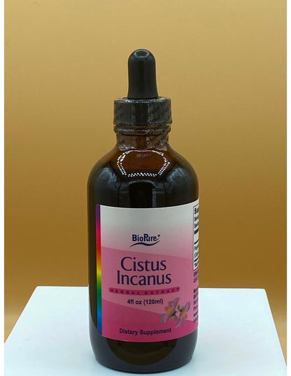 BP Cistus Incanus Tincture